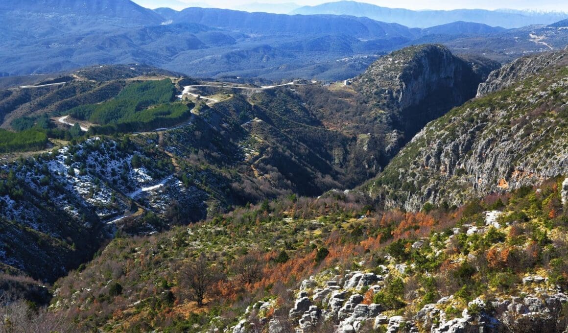 Θέα Βραδέτο