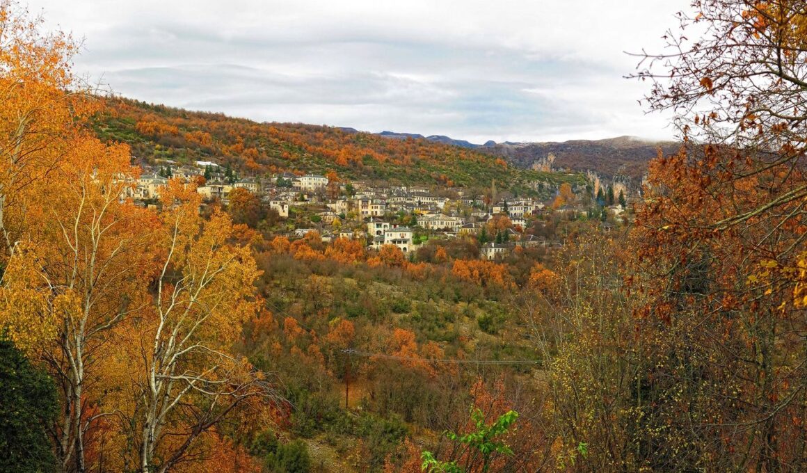 Panoramic view towards the village Monodendri