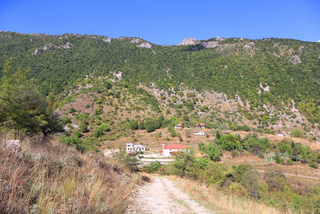 Ο Πωγωνίσκος